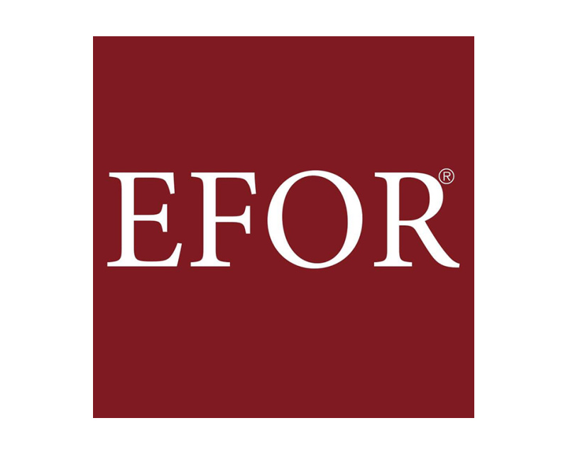 Efor Dekoratif Perde Sistemleri