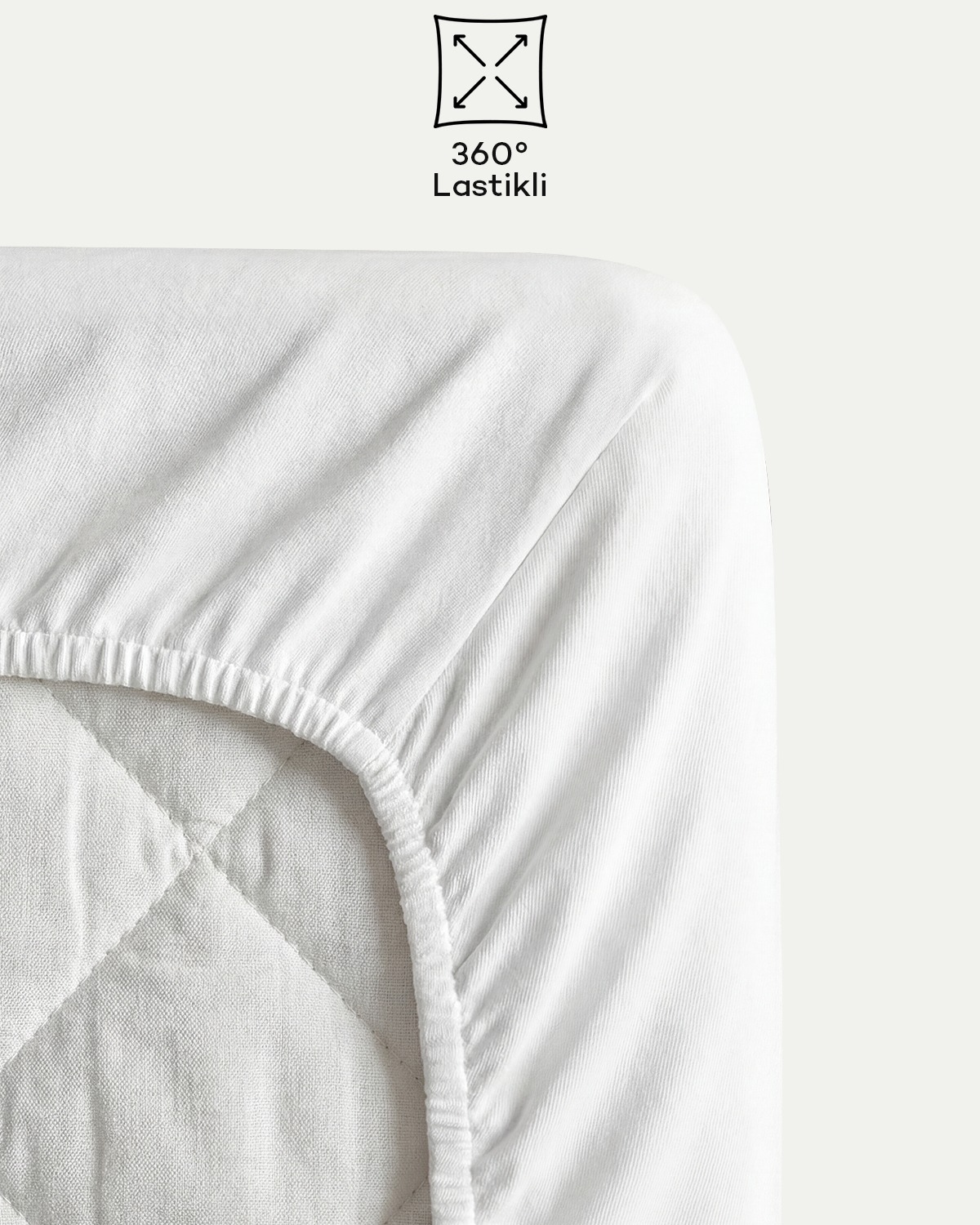 100% Cotton Single Jersey Fitted Sheet